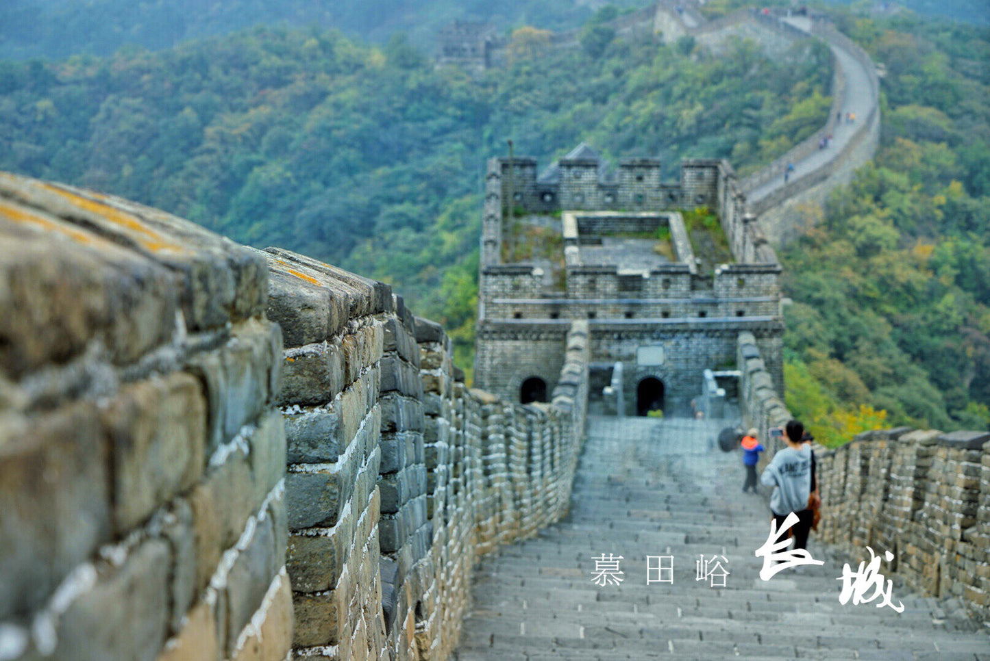 Beijing | Private 1-Day Tour: Forbidden City & Mutianyu Great Wall