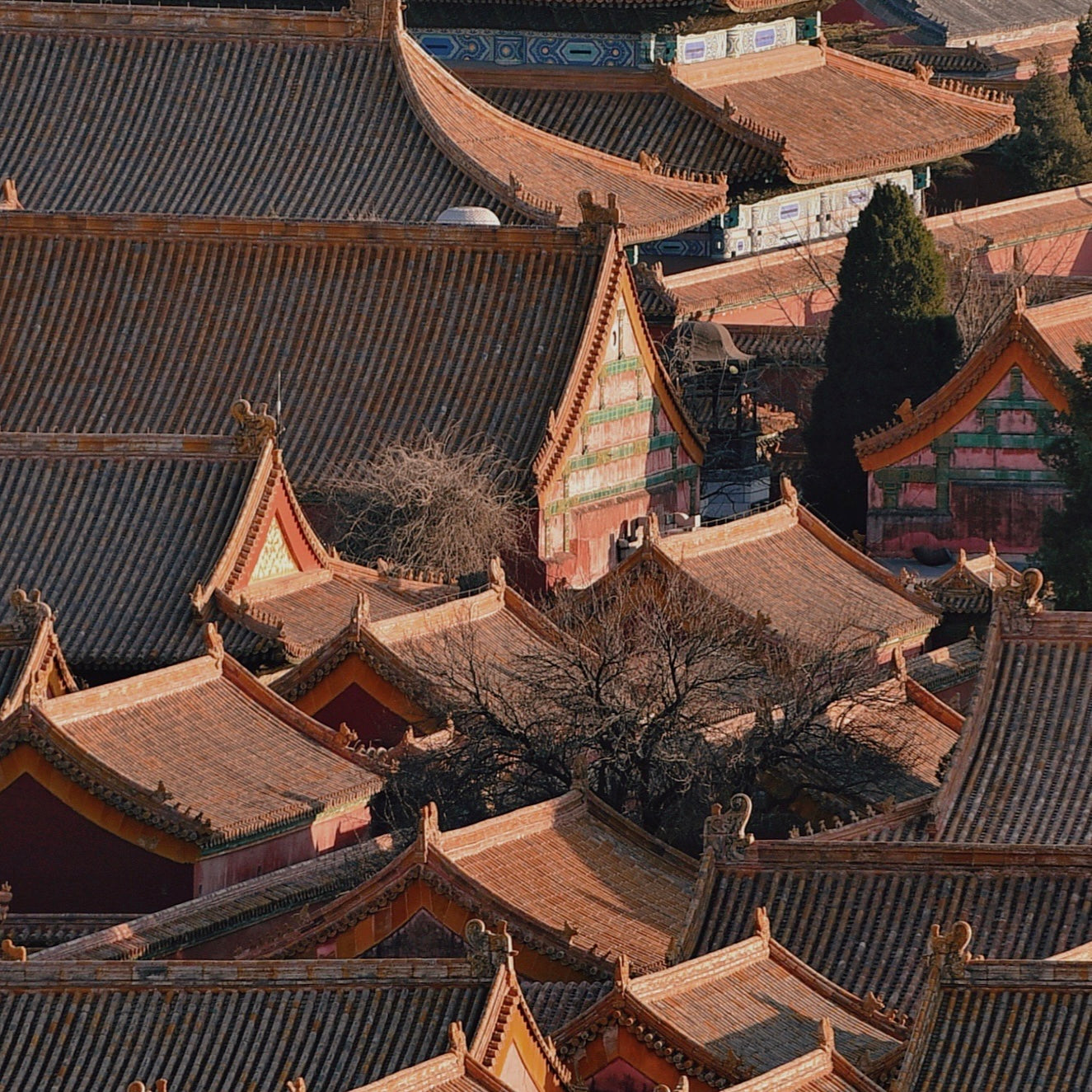 Beijing | Private 1-Day Tour: Forbidden City & Mutianyu Great Wall