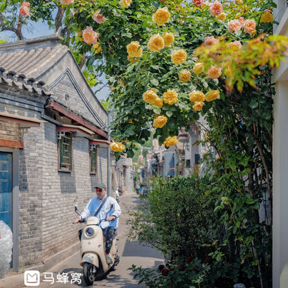 Beijing | Private 1-Day Tour: Summer Palace & Hutong Exploration
