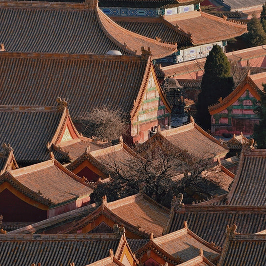 Beijing | Private 1-Day Tour: Forbidden City & Mutianyu Great Wall